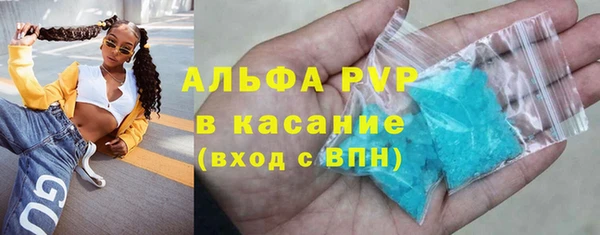 гашик Арсеньев