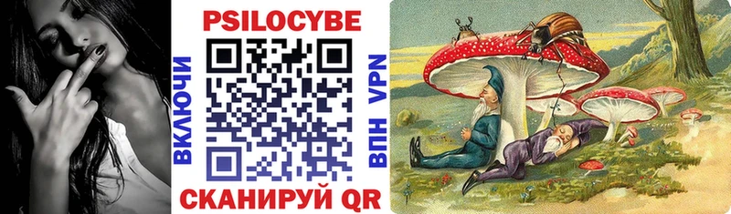 сколько стоит  Медногорск  гидра вход  Псилоцибиновые грибы Psilocybine cubensis 